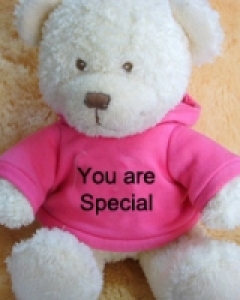 you r special Teddy Bear with T-shirt
