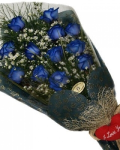 12 Blue Rose bouquet w/pillow