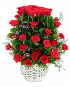 52 red roses basket